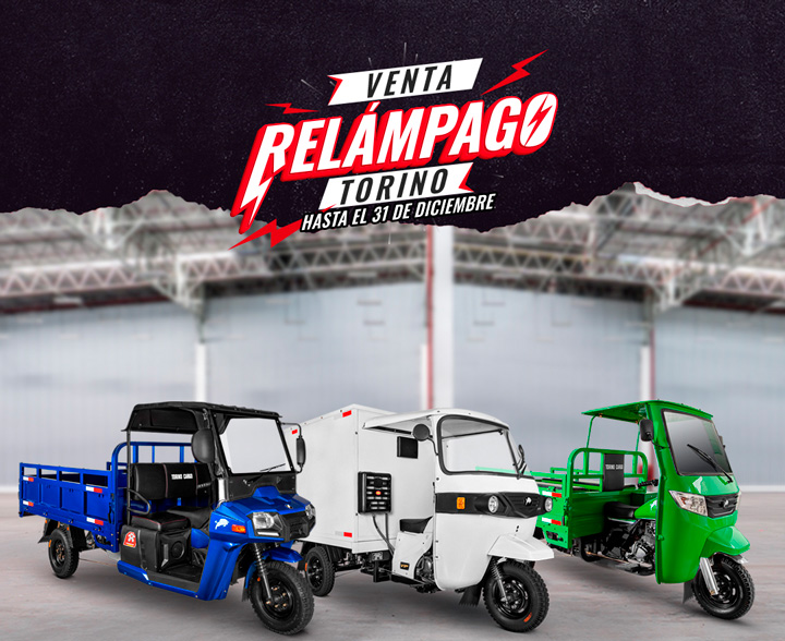 Gran Venta Garage
