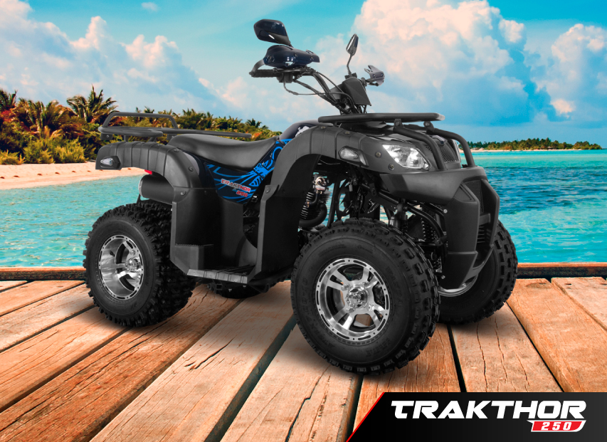 trakthor | Torino Motors