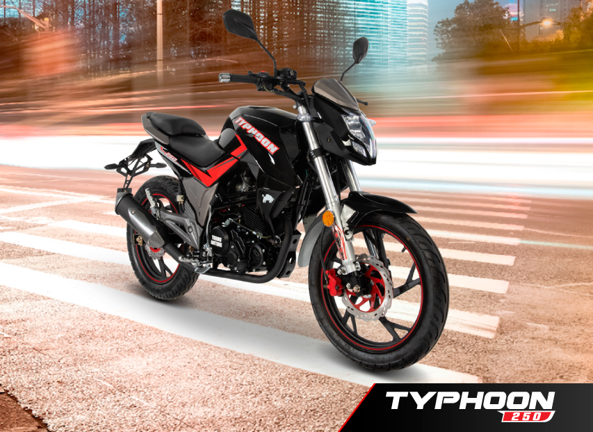 typhoon | Torino Motors