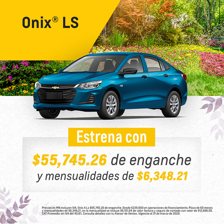 Estrena ONIX LS