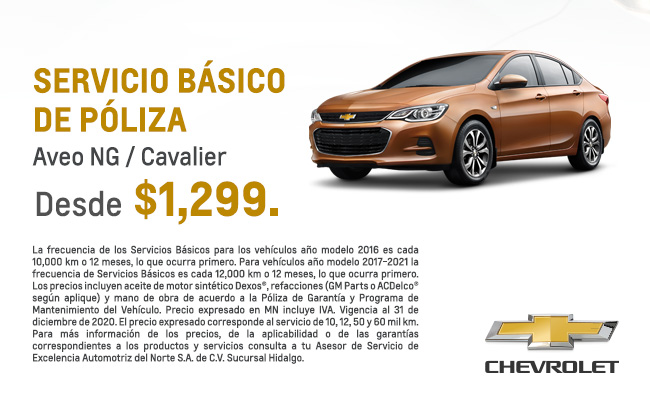 Servicio Básico de Póliza