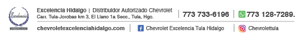 Excelencia Hidalgo