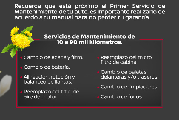 Recordatorio de Servicio