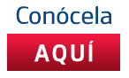 Logo Footer