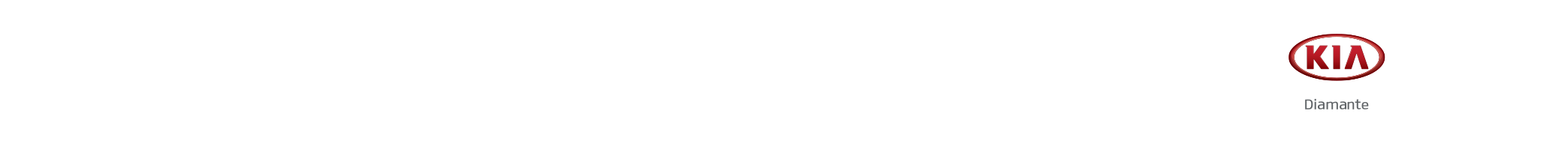 Logo Footer