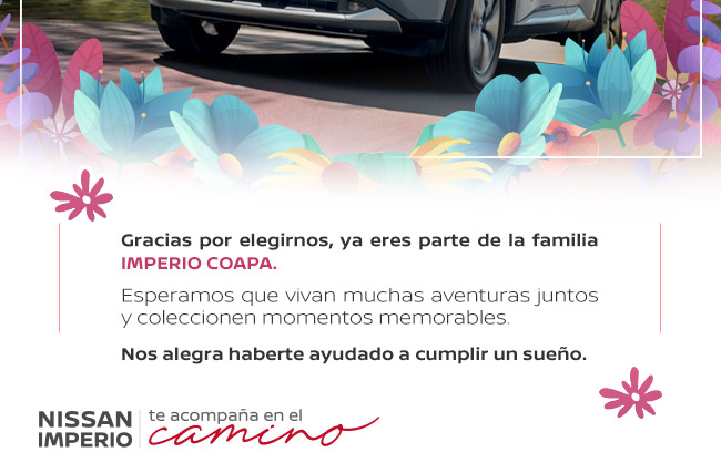 Compañero en el camino