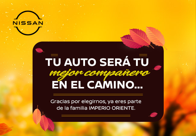 Tu auto será tu mejor compañero en el camino