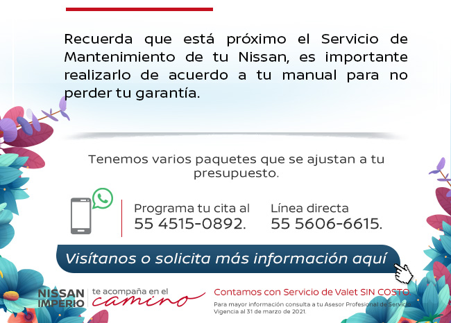 Servicio de Matenimiento
