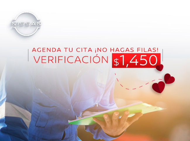 Verificación