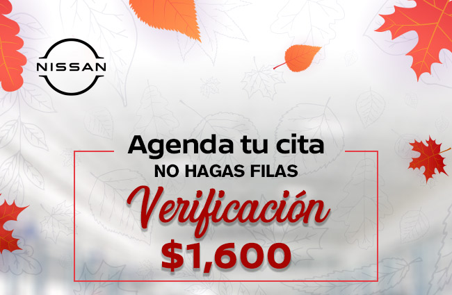 Verificación
