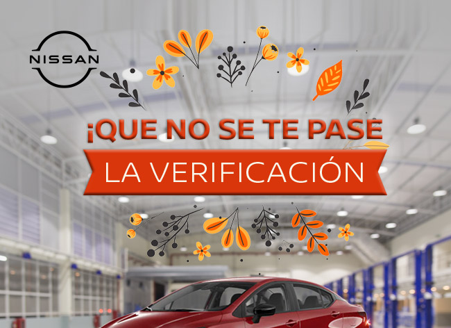 Verificación